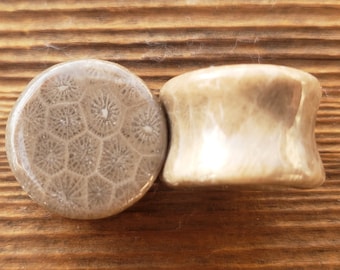 Pair of Real CORAL FOSSIL Flat Plugs Gauges Body Jewelry Double Flared - Pick Size