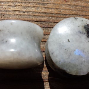 May include: Two white moonstone plugs with black flecks. The plug on the left is a flared style, while the plug on the right is a flat, round style.