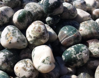 THREE (3)TREE AGATE Tumbled Stones Medium/Large Natural Tumble Stones