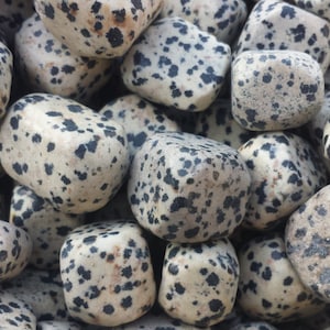 SIX (6) DALMATIAN JASPER Tumbled Stones Medium Natural Tumble Stones