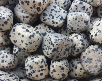 SIX (6) DALMATIAN JASPER Tumbled Stones Medium Natural Tumble Stones