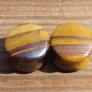 May include: Pair of tiger's eye stone ear gauges, each with a different pattern of brown, gold, and black stripes.
