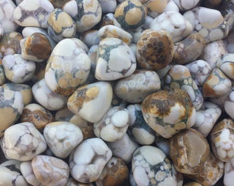SIX (6) SPOTTED AGATE Tumbled Stones Medium/Large Natural Tumble Stones