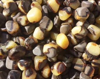 SEPTARIAN Dragon Stone Tumbled Stone One (1) Medium/Large Natural Tumble Stone