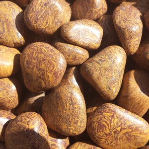 CALLIGRAPHY STONE Tumbled Stone One (1) Medium/Large Natural Tumble Stone