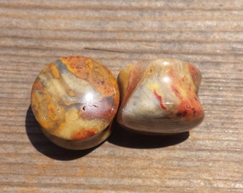 Pair of Real CRAZY LACE AGATE Plugs Gauges Body Jewelry Double Flared - Pick Size
