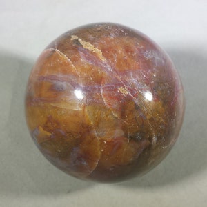 大きな化石化した木の球体 天然石 手彫り 宝石球体 49 mm[20]