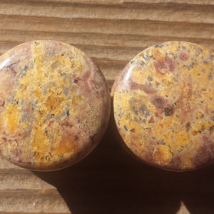 RARE! Pair of Real LEOPARD JASPER Plugs Gauges Body Jewelry Double Flared - Pick Size