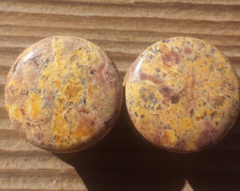 RARE! Pair of Real LEOPARD JASPER Plugs Gauges Body Jewelry Double Flared - Pick Size