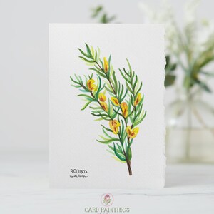 Rooibos Blumen, Büttenrand Aquarell Grußkarten, Südafrikanische Wildblumen, Fynbos, Briefpapier, Grußkarten, leere Karten, Blumenkarten