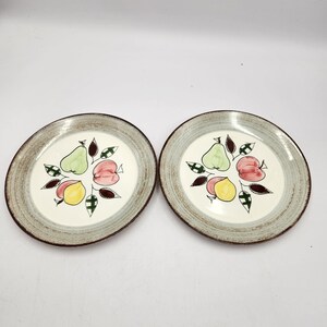 Blue Ridge Dinner Plates Set of 2 Southern Potteries Inc - Etsy