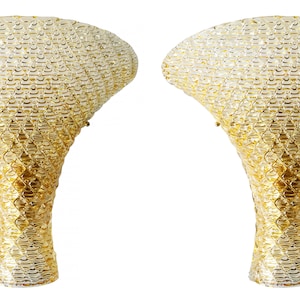 Pair of large italian Murano glass and brass wall light sconces