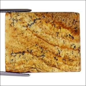 Puede incluir: Una piedra preciosa rectangular, pulida, amarilla y marrón con manchas y vetas negras. La piedra tiene una superficie lisa y pulida y un patrón natural y orgánico.