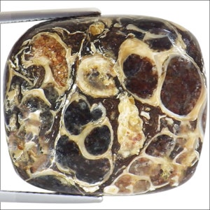 29.20 Ct Natural Turtella Jasper Gemstone Multi Color Cushion Cut