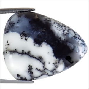 16.65 Ct Natural Dendritic Opal Gemstone Brown White Color Pear Cut