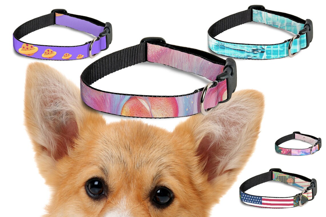 Mockup pet collars Template Dog collar mockup Add your own Etsy