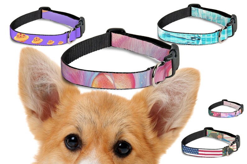 Mockup pet collars Template Dog collar mockup Add your own
