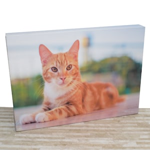 Canvas Print Personalised Wall Art Your Pictures Photo Framed