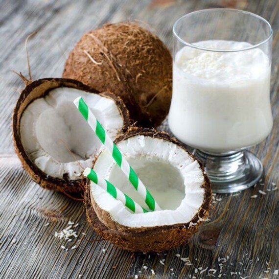 Coconut Conditioner 12 Oz All Natural Moisturizing Etsy