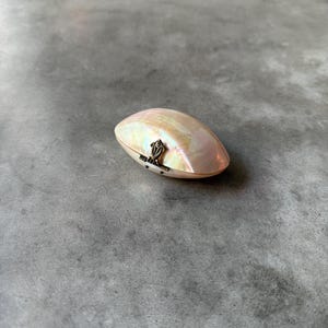 May include: A small, oval-shaped trinket box crafted from iridescent mother-of-pearl with a smooth, glossy finish. The container features a hinged metal clasp in a dark, antiqued brass tone, positioned at the center of the shell-like lid.