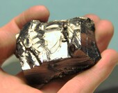 Elite Shungite Stone 1 Piece 30-50 grams 0,066-0,1 lbs Shungite for EMF Protection Crystal Chakra Healing Shungit Karelian Heritage ES74