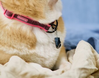 Emf dog collar Clearance