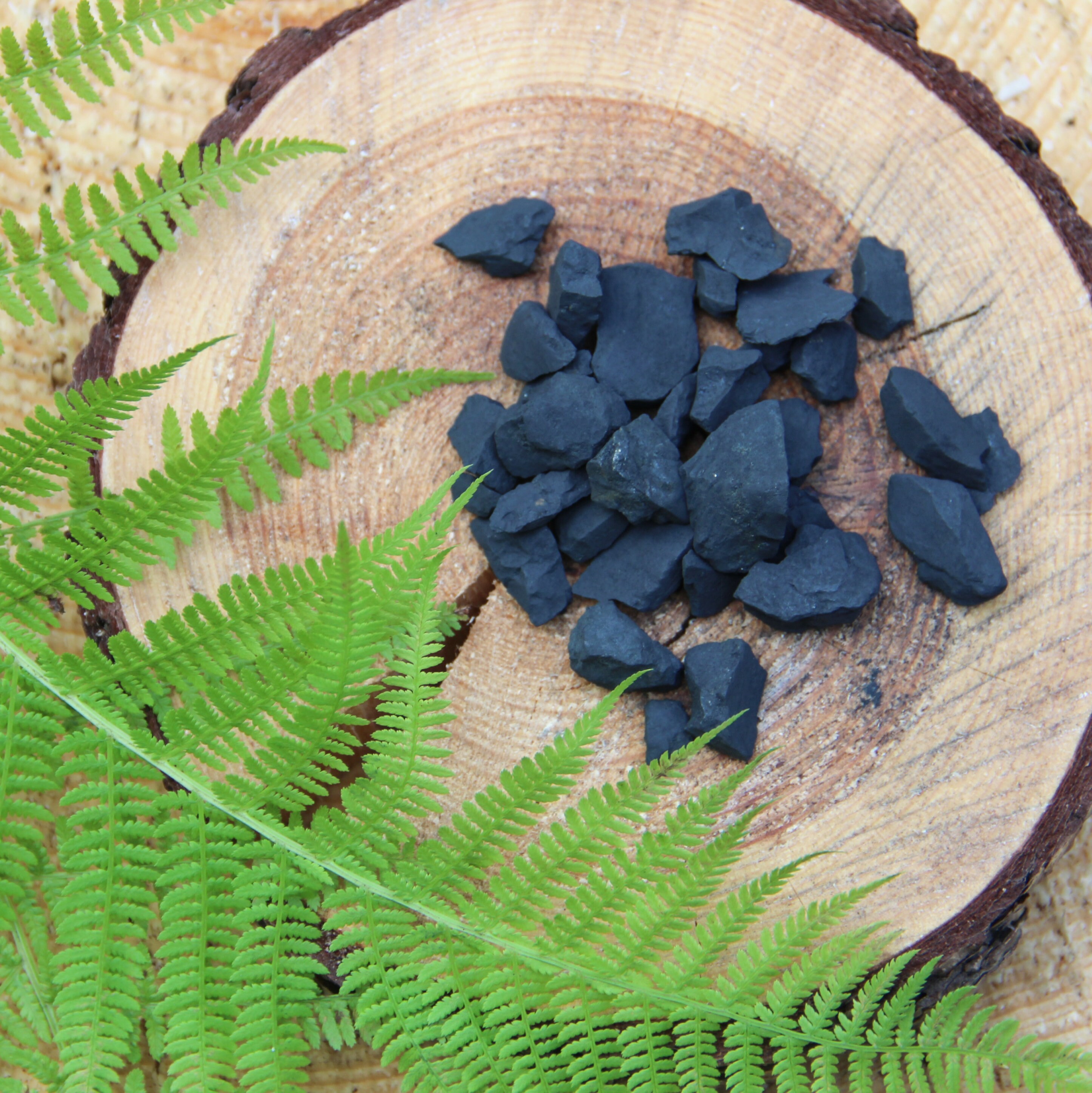 Shungite Water Stones Purification Set 180 grams 04 lbs // Etsy