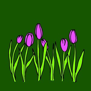 Tulip greeting card, any occasion, blank card
