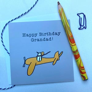 Joyeux anniversaire grand-père ! Anniversaire, grand-père, pingouin, avion