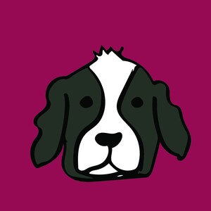 Collie Hund, Berghund, Grußkarte, jede Gelegenheit, leere Karte, Hunde, schwarz und weiß Hund