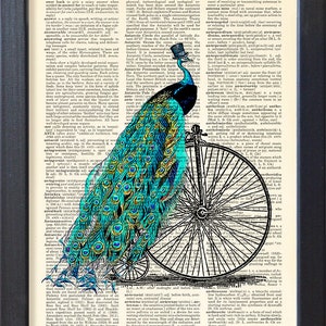 Peacock print, bicycling animals in top hat poster, bicycle penny farthing art, dictionary book page art, dorm home wall decor