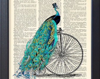 Peacock print, bicycling animals in top hat poster, bicycle penny farthing art, dictionary book page art, dorm home wall decor