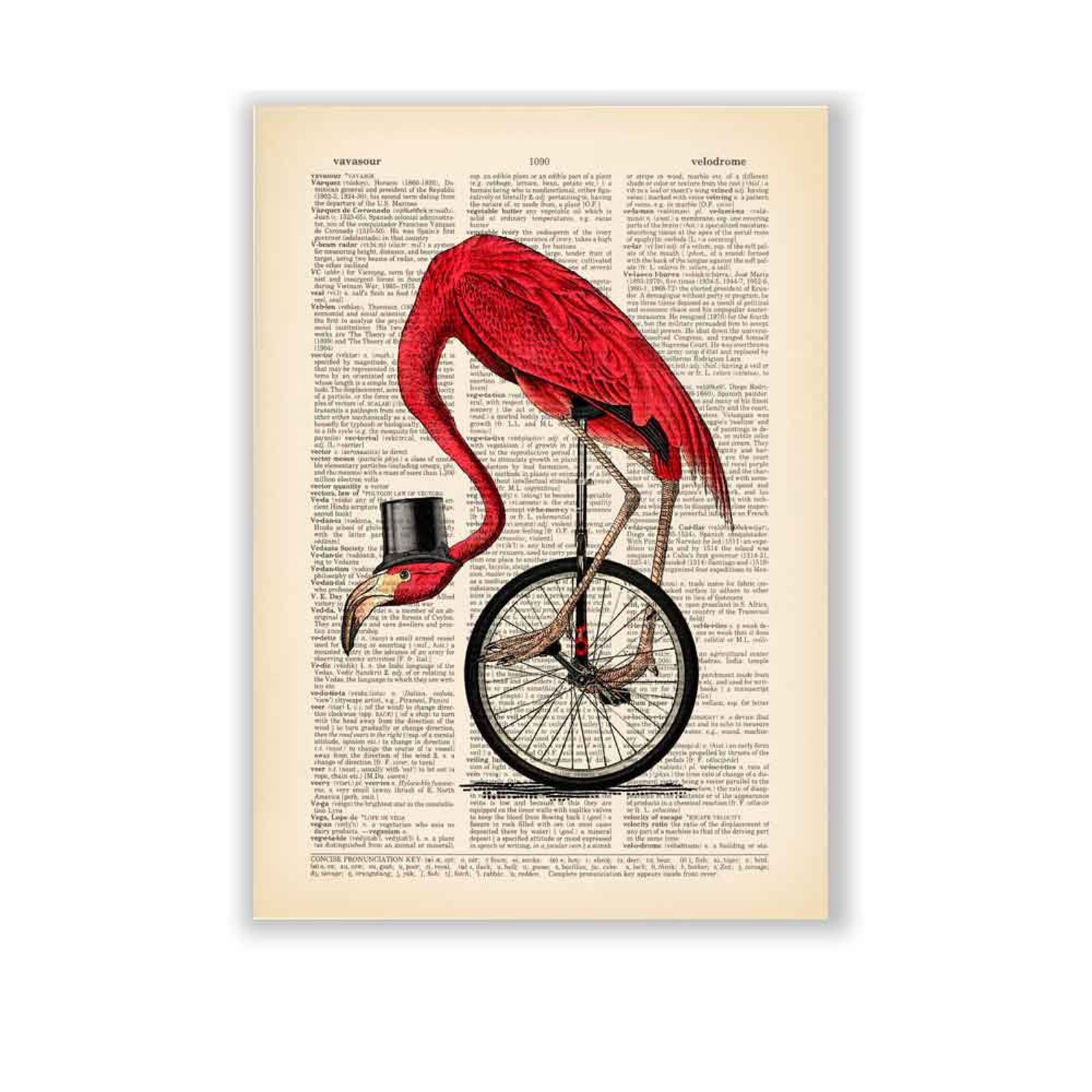 Flamingo Print Animals on Bicycle Poster Bicycling One Wheel - Etsy