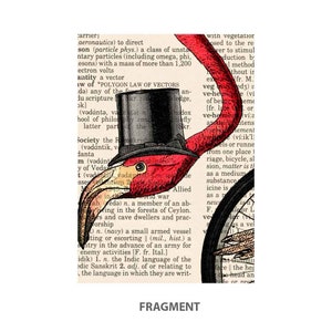 Flamingo Print, Animals on Bicycle Poster, Bicycling One Wheel Art ...