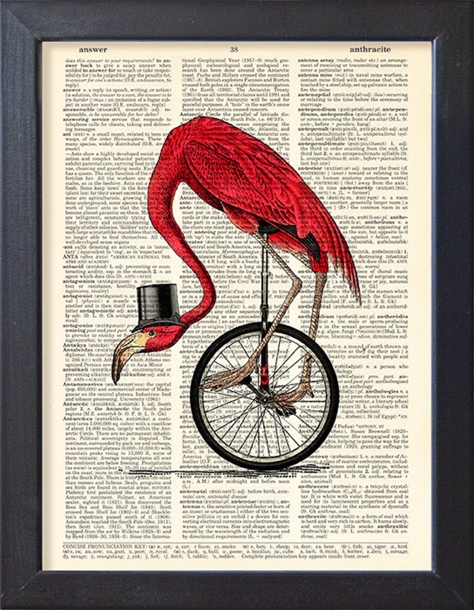 Flamingo Print Animals on Bicycle Poster Bicycling One Wheel - Etsy