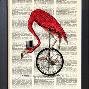 Flamingo Print, Animals on Bicycle Poster, Bicycling One Wheel Art ...