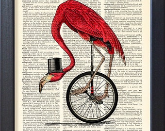 Flamingo print, animals on bicycle poster, bicycling one wheel art, dictionary book page art, dorm home wall decor