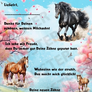 Zahnfee Brief Karte Pferd