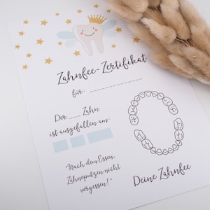 Zahnfee Brief Karte Zertifikat