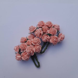 淡いピンクの桑の紙の花 20 個 • 造花 • 工芸品 • 結婚式 • 小さな花