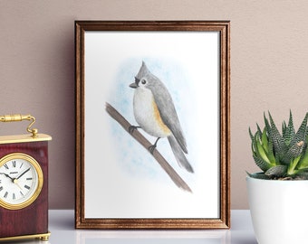 Tufted Titmouse Print - Tufted Titmouse - Titmouse Print - Tufted Titmouse Art - Bird Print - Bird Art - Bird Decor - Bird Gifts