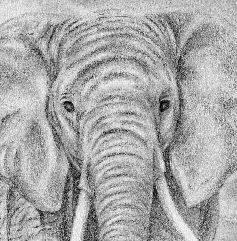 Elephant Print Elephant Art Elephant Decor Elephant Nursery Elephant Wall Art Safari Nursery Elephant Art Print Elephant Gift image 4