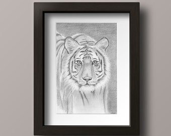 Tiger Drawing Print - Tiger Print - Bengal Tiger- Tiger Art - Tiger Wall Art - Tiger Decor - Tiger Art Print - Zoo Nursery Decor - Tiger