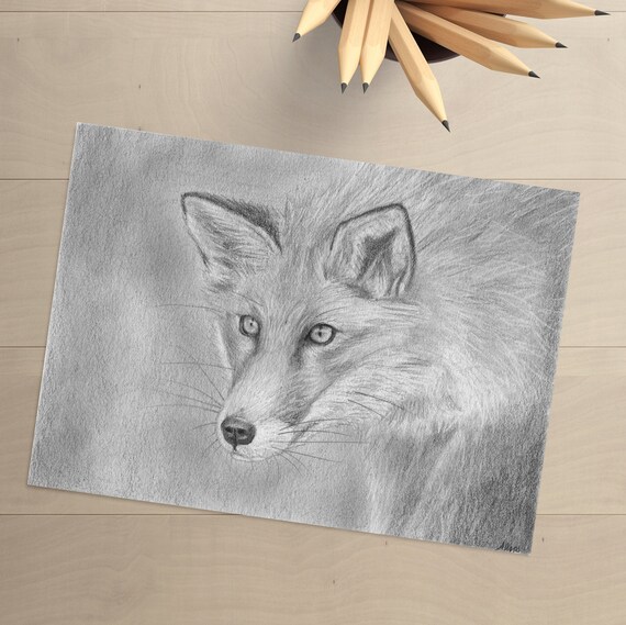 Dessin De Renard Dessin Original Fox De Dessin Au Crayon Art Animalier Fox Art Decor Oeuvre Fox Fox Wall Decor Renard Cadeau De