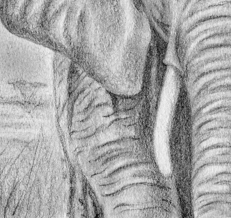 Elephant Print Elephant Art Elephant Decor Elephant Nursery Elephant Wall Art Safari Nursery Elephant Art Print Elephant Gift image 5