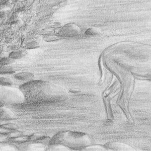 Deer Drawing Pencil Drawing Deer Original Drawing Deer Art Deer Decor Hunting Decor Wildlife Art Deer Nursery Art image 5