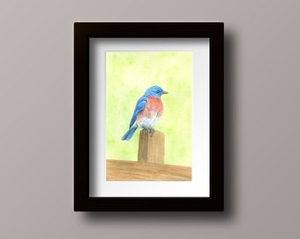 Bluebird Print - Bluebird - Bluebird Art - Bluebird Watercolor - Bluebird Gift - Bird Print - Bird Art - Bird Gift - Bird Wall Art