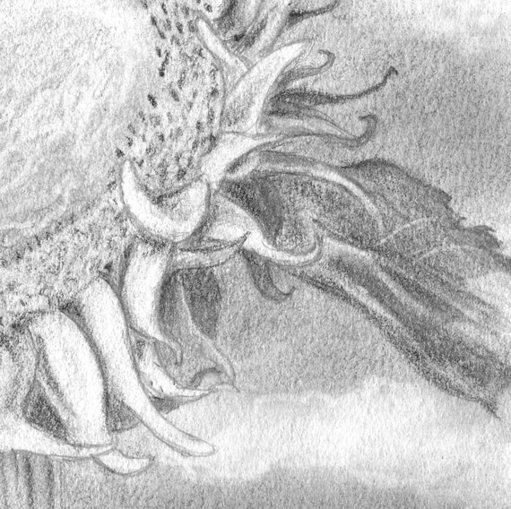 Fleur De Tournesol Crayon Dessin Art Tournesol Original Dessin Dessin De Fleurs Tournesol Decor Decor Dété Fleur Decor Art