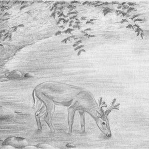 Deer Drawing Pencil Drawing Deer Original Drawing Deer Art Deer Decor Hunting Decor Wildlife Art Deer Nursery Art image 3