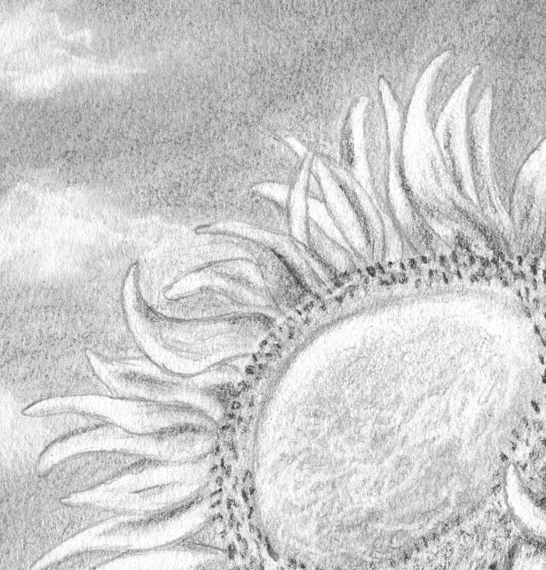 Sunflower Pencil Drawing Sunflower Art Original Drawing Etsy